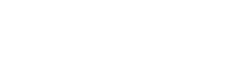 Homer Foundation